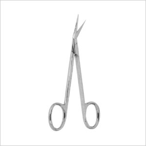 Gum & Surgical Scissors 2 - Image 1