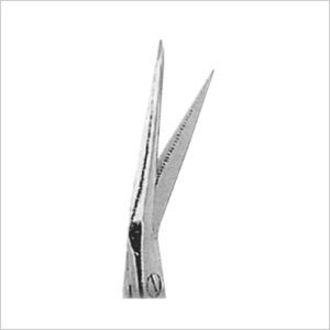 Gum & Surgical Sciccors 3 - Image 1
